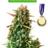 Zkittlez feminized cannabis seeds