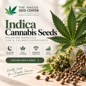 Indica Cannabis Seeds