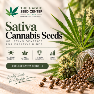 Sativa Cannabis Seeds